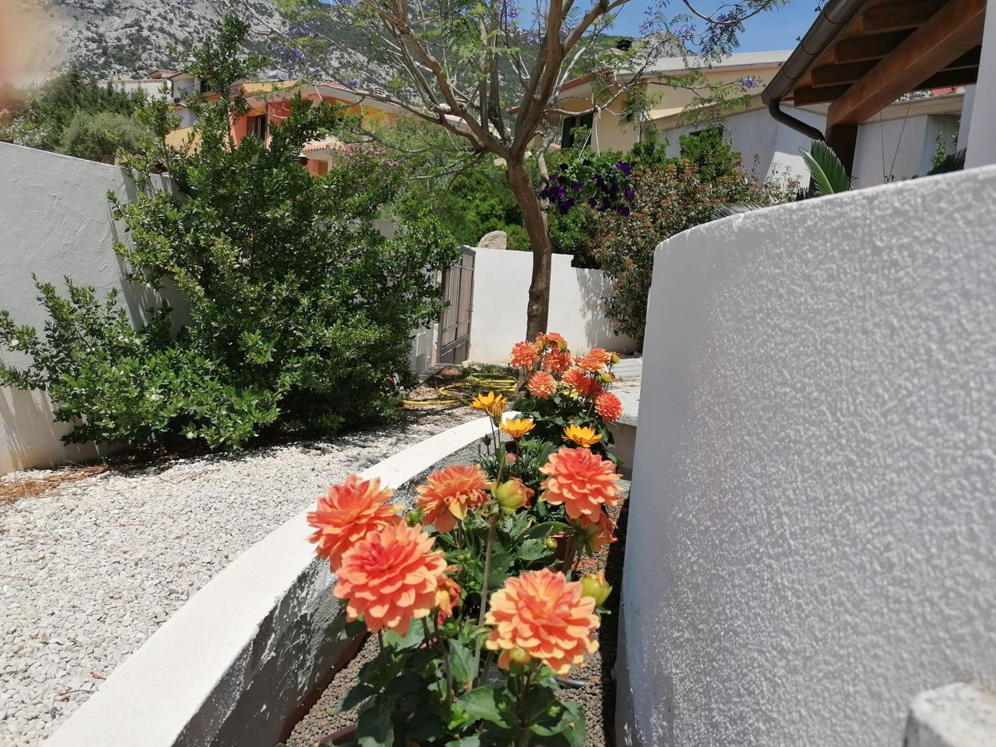 Blue Trane Appartement Cala Gonone Buitenkant foto