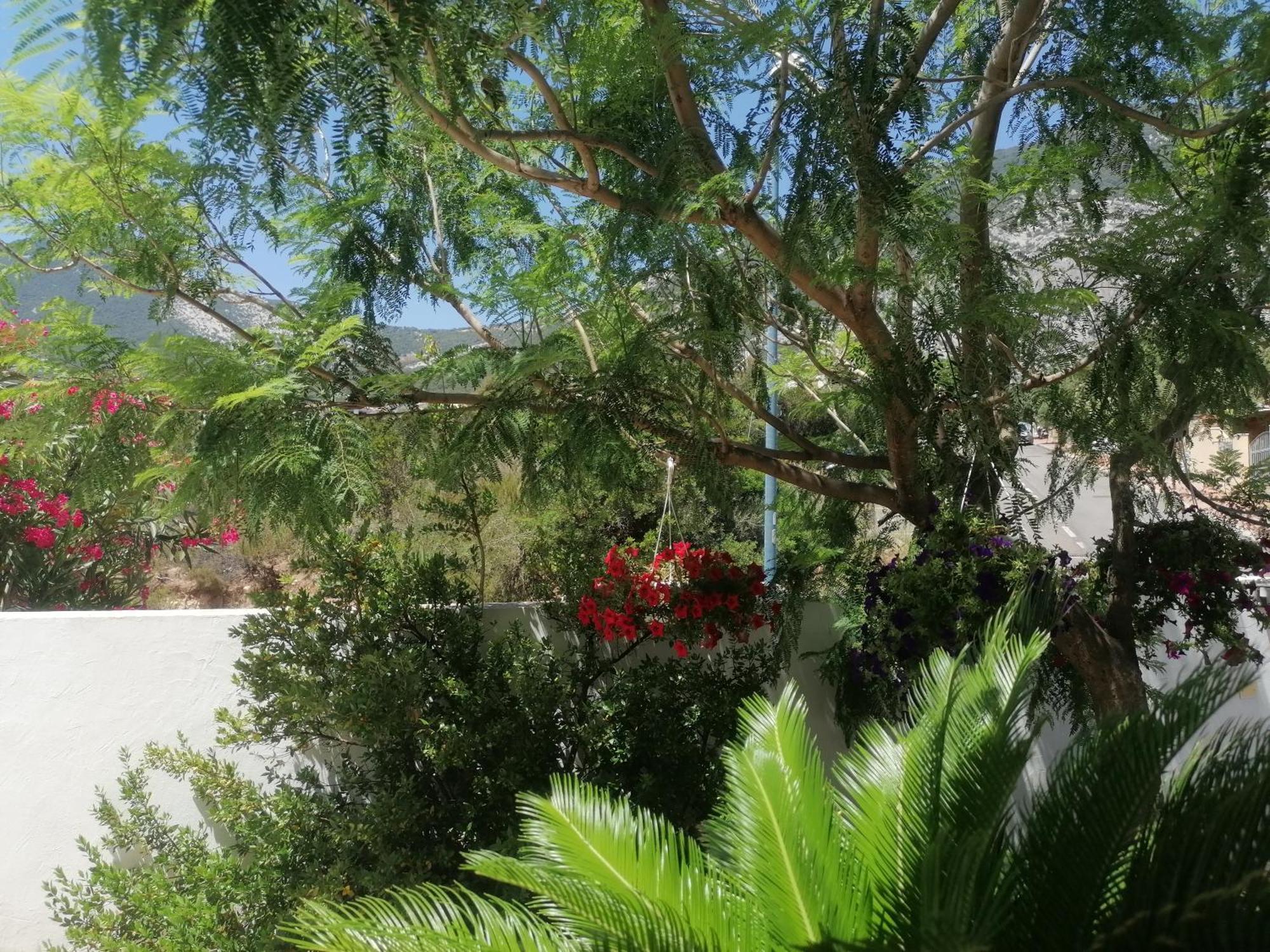 Blue Trane Appartement Cala Gonone Buitenkant foto